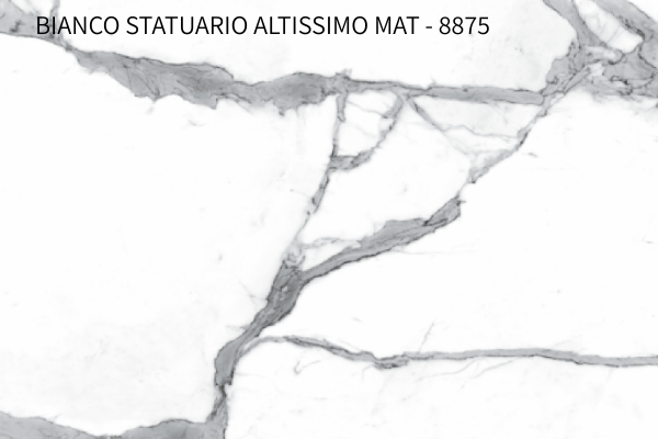 Bianco-Statuario-Altissimo-MAT-8875