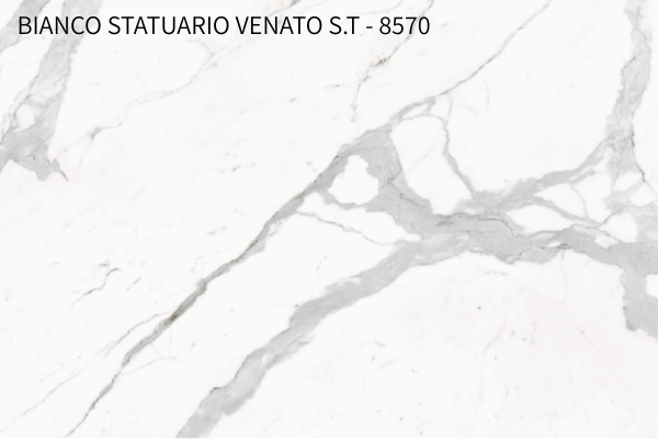 Bianco-Statuario-Venato-S.T-8570